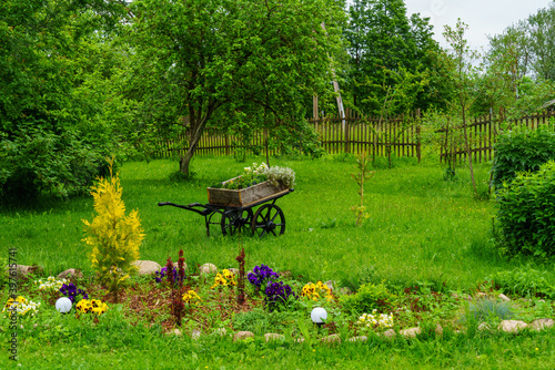 Fototapeta Naklejka Na Ścianę i Meble -  green summer garden scene in countryside