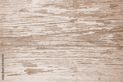 Wooden surface with cracks and peeling white paint. Texture. Background. Sepia. Close-up. Selective focus. Copy space.