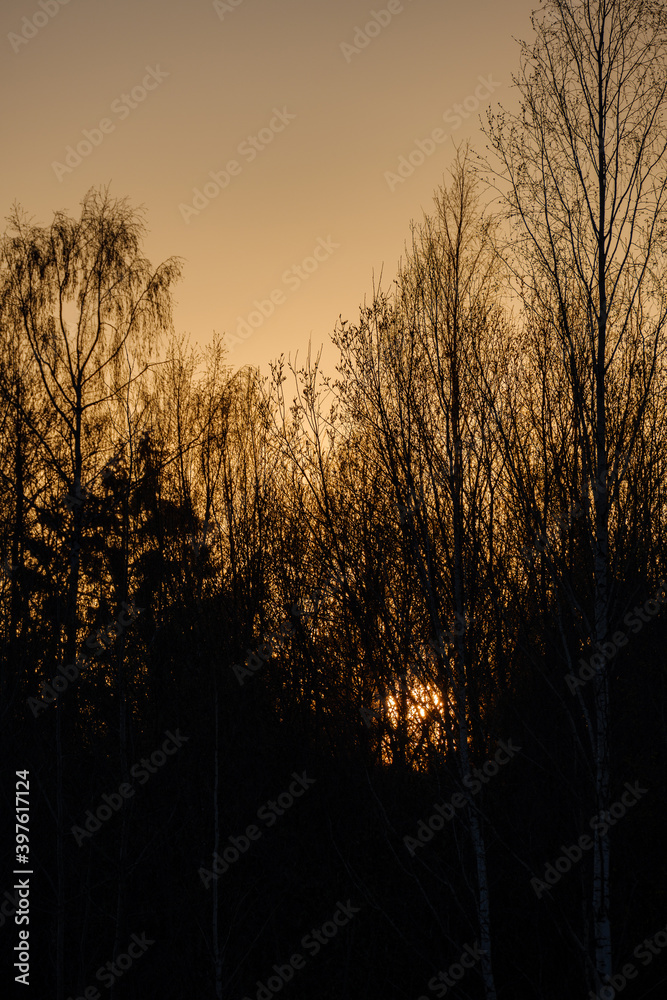 Fototapeta premium dramatatic red dark sunset over the fields and cities