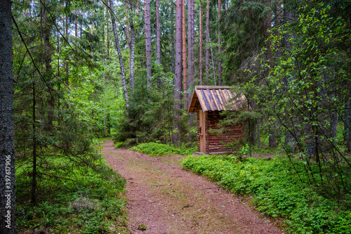 enmpty forest road with tractor car tire track marks