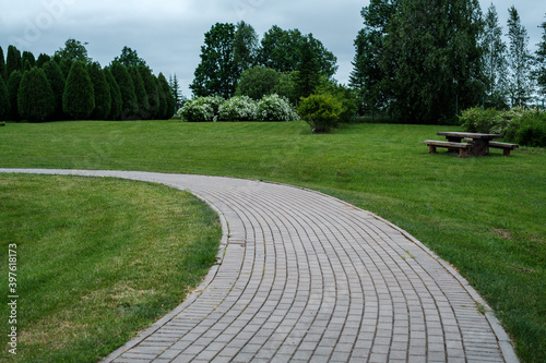 enmpty forest road with tractor car tire track marks