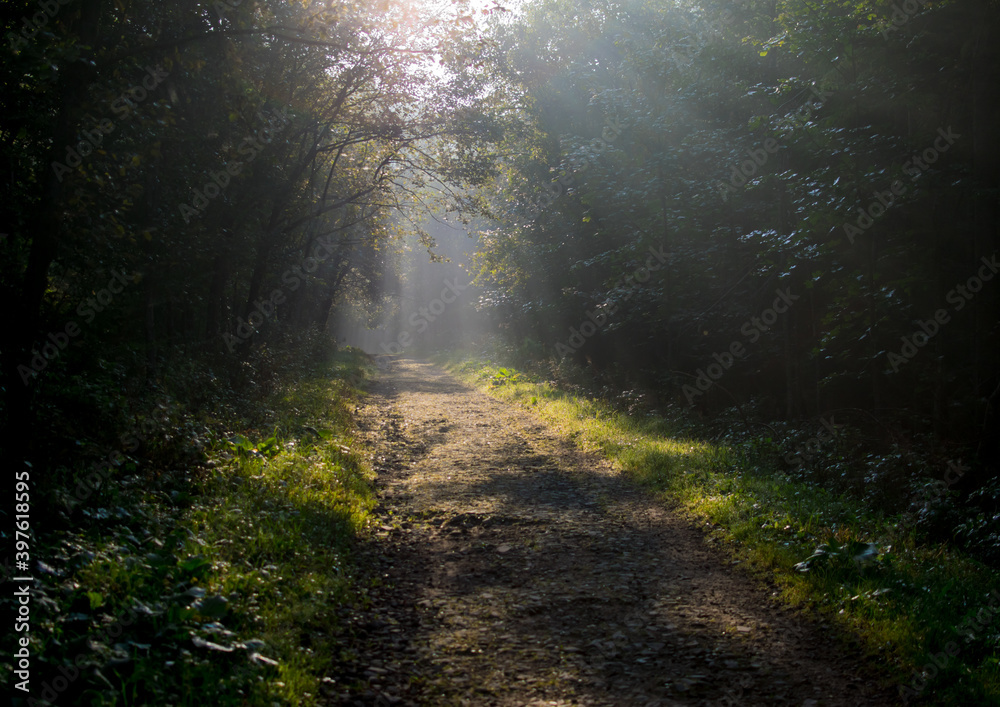 way to the trail during sunrise in the Bieszczady Mountains during autumn
