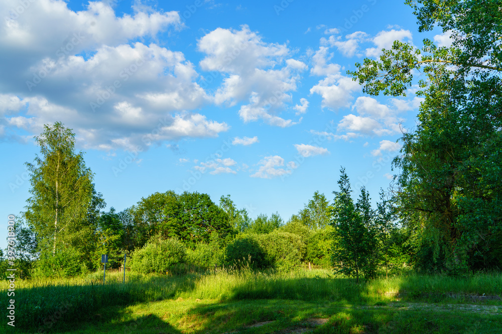 green summer garden scene in countryside green summer garden scene in countryside