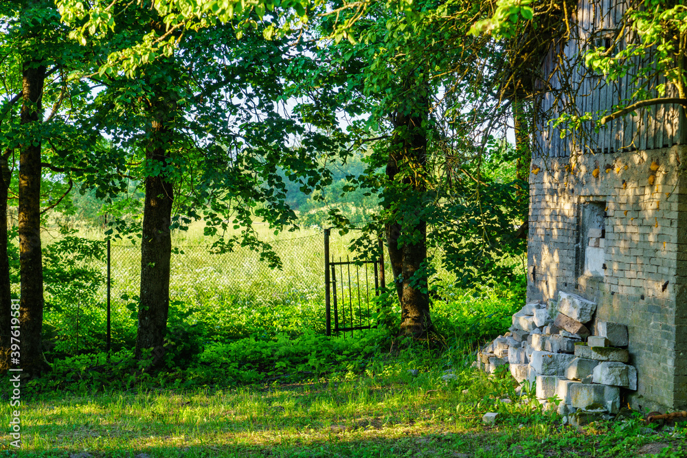 green summer garden scene in countryside green summer garden scene in countryside
