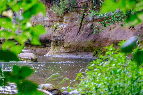 Wallpaper Mural sandstone cliffs on the river Amata in Latvia Torontodigital.ca