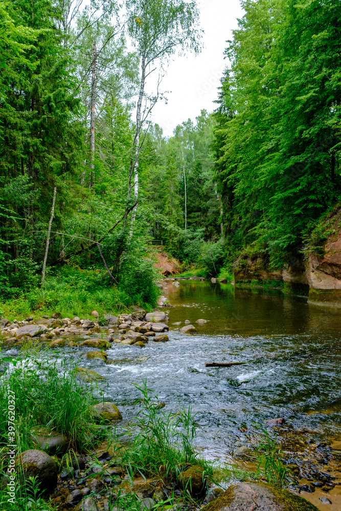 sandstone cliffs on the river Amata in Latvia