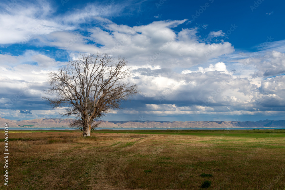 Scenic view of the Bear Lake, located in the border of the Utah and Idaho States, USA. Scenic view of the Bear Lake, located in the border of the Utah and Idaho States, USA.