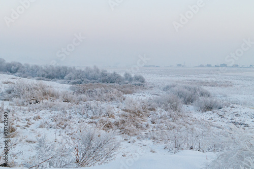 Winter landscape. Snow-covered fields on a frosty winter evening