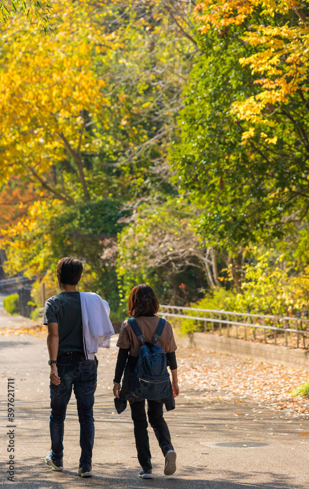 秋の公園で散歩している若いカップルの姿 秋の公園で散歩している若いカップルの姿