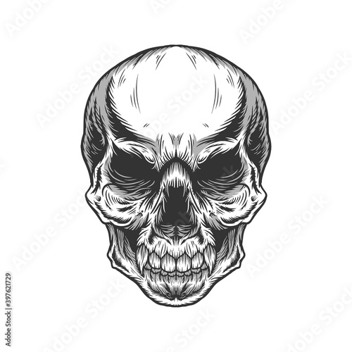 Illustration of monochrome skull head detailed vector design