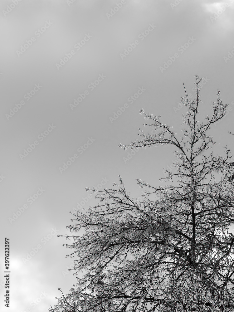 Evening sky after freezing rain and snow storm in Eugene, Oregon Evening sky after freezing rain and snow storm in Eugene, Oregon
