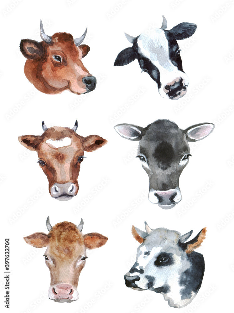 Watercolor cute cows on the white background. Farm animals clipart. 