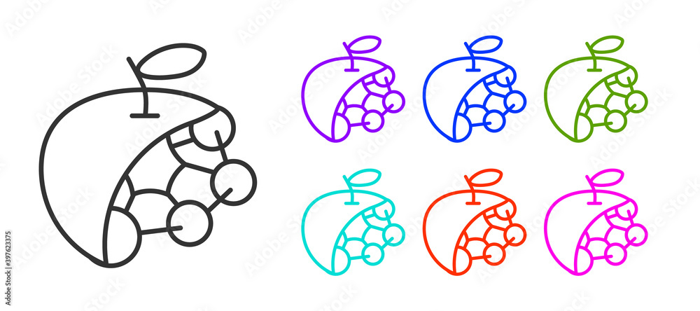 Black line Biological structure icon isolated on white background. Genetically modified organism and food. Set icons colorful. Vector. Black line Biological structure icon isolated on white background. Genetically modified organism and food. Set icons colorful. Vector.