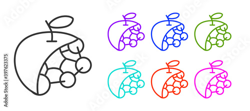 Black line Biological structure icon isolated on white background. Genetically modified organism and food. Set icons colorful. Vector.