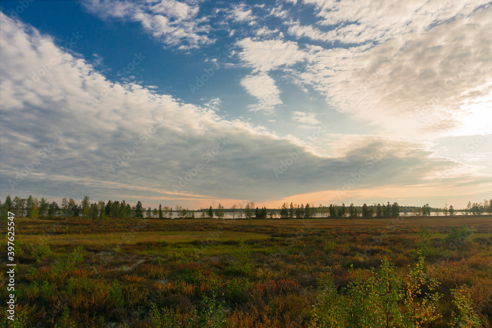 Autumn landscape of the forest tundra and picturesque sky of the Yamalo-Nenets Autonomous district