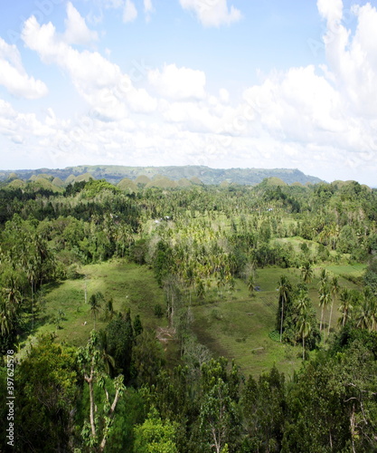 Beautiful view of the green forest from the hill