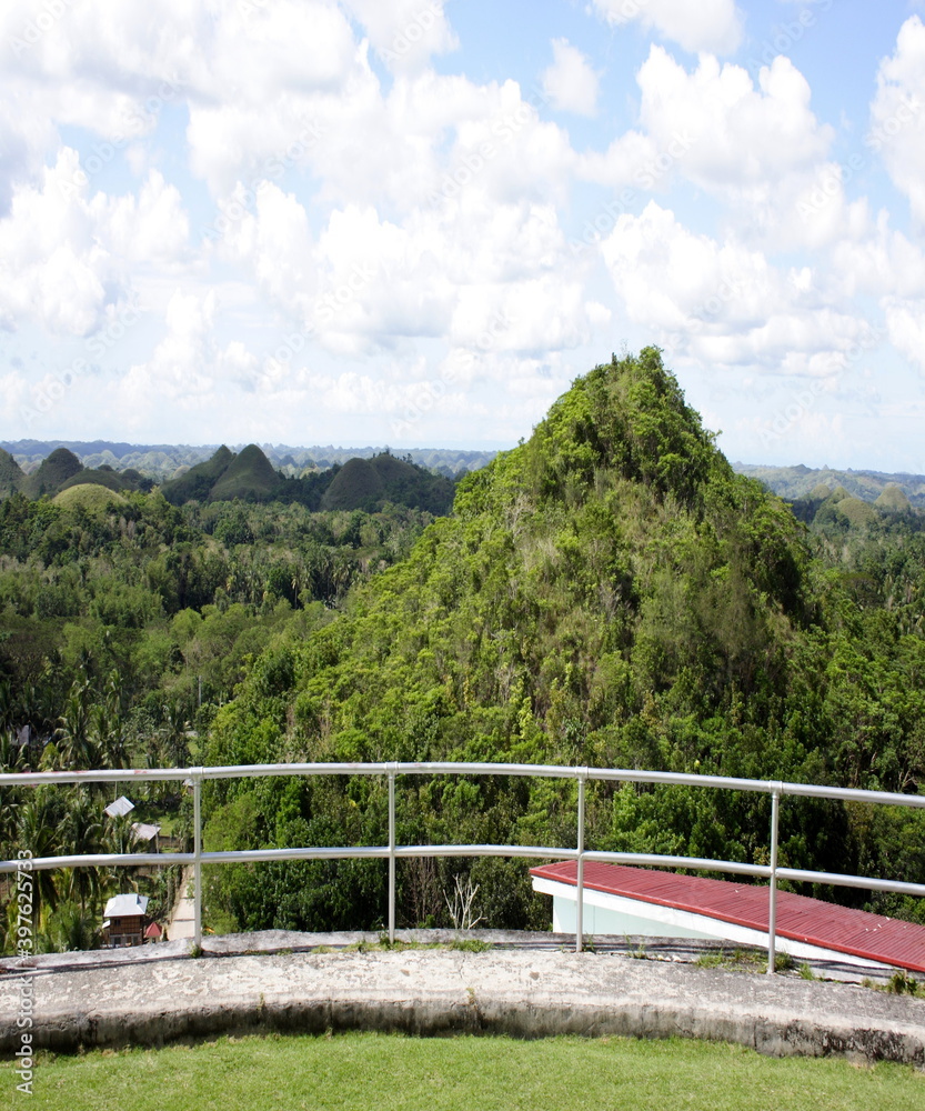 Fototapeta premium Beautiful view of the green forest from the hill