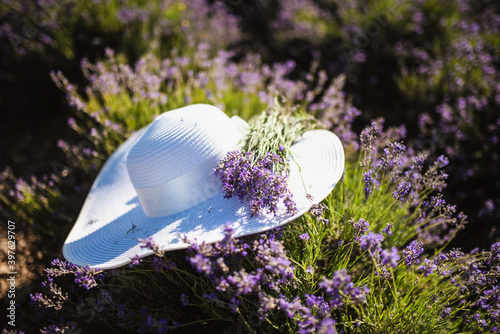 white hat in lavender