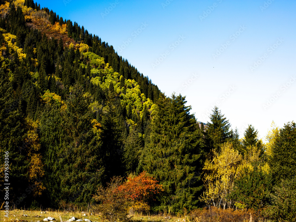 autumn landscape with trees autumn landscape with trees