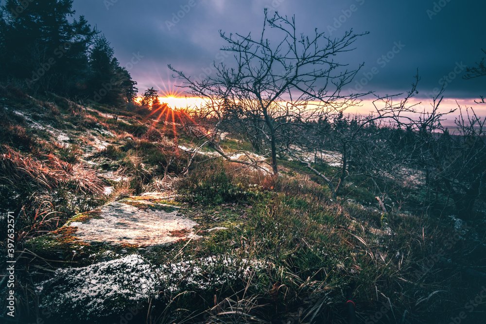 Beautiful landscape in the mountains, great views of nature. Sunset, forest trees, meadow bushes. Nice distant horizon and plantings. unique atmosphere with great clouds Beautiful landscape in the mountains, great views of nature. Sunset, forest trees, meadow bushes. Nice distant horizon and plantings. unique atmosphere with great clouds