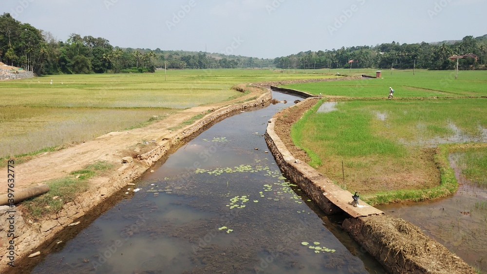 Fototapeta premium landscape with river