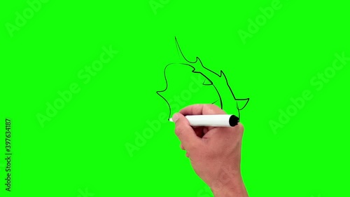 Diver and shark in one line. Black line animation with pencil on green background