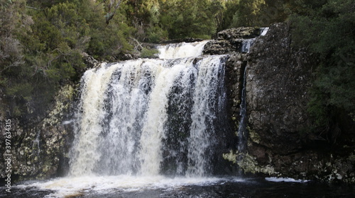 waterfall in the forest of tasmania
