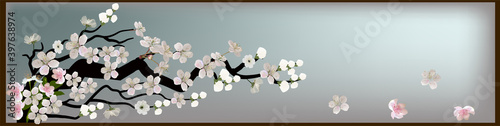 white and pink cherry tree blossoming stripe