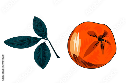 Orange with leaf