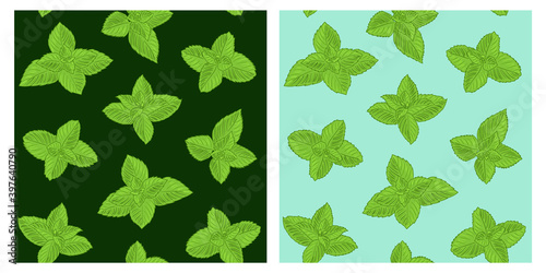 Mint spices leaf seamless colorful pattern