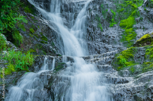 Waterfall among green grass. Mountain stream on mossy boulders in summer rainforest. Alpine cascade of rapid flow