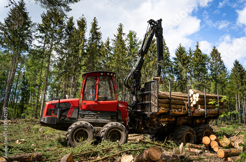 Borkenk  fer - Waldsterben  Vorwarder r  umt gef  lltes Fichtenholz aus dem Wald.  Forsttechnisches Symbolfoto.