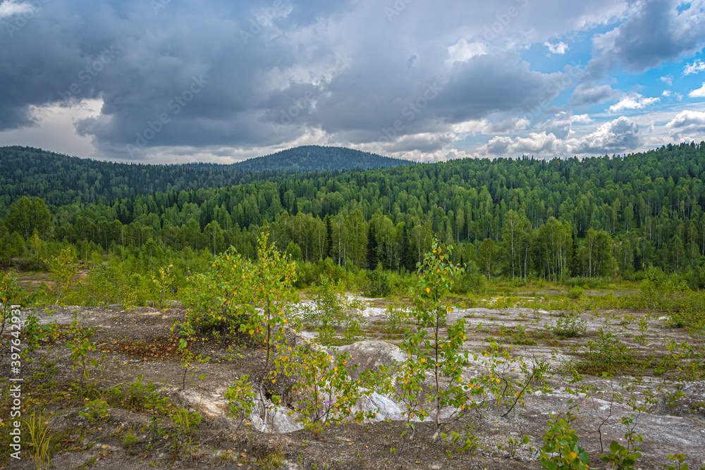 Fototapeta premium Abandoned talc quarry overgrown with trees and grass