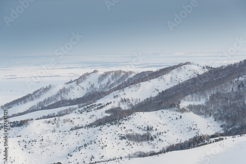 Gentle slopes of forest hills are covered with first snow. View of mountain valleys and ridge on horizon. © Koirill