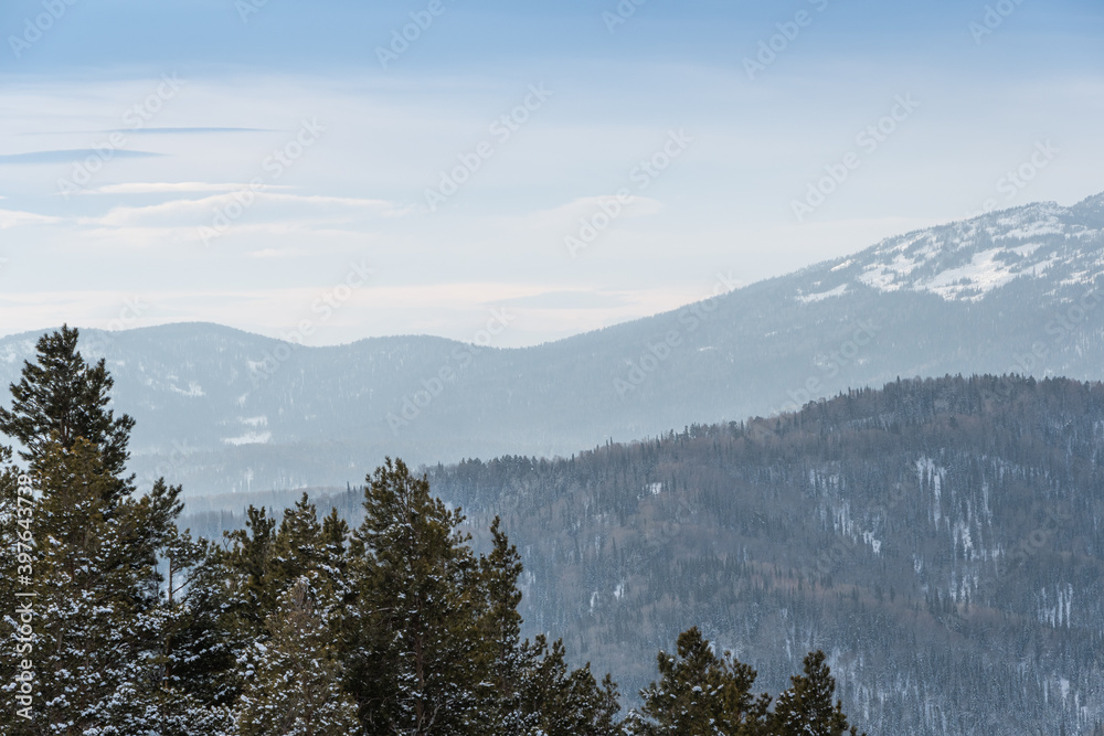 Gentle hills are covered with snow forest. View of mountain valley on winter day