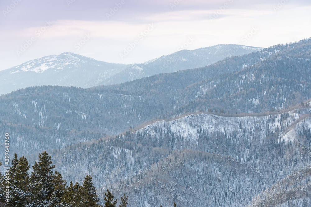 Winter forest landscape with snow sloping hills on horizon