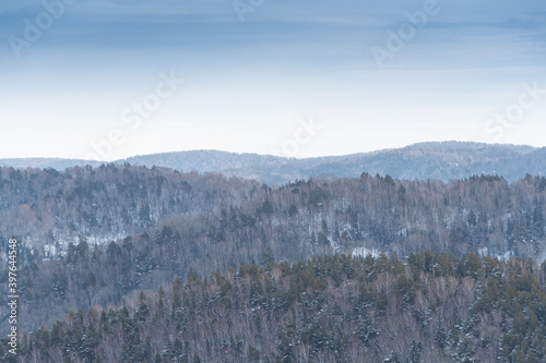Gentle slopes of forest hills are covered with first snow. View of mountain valleys and ridge on horizon.