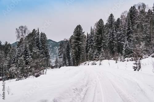 Snow covered country road in winter forest