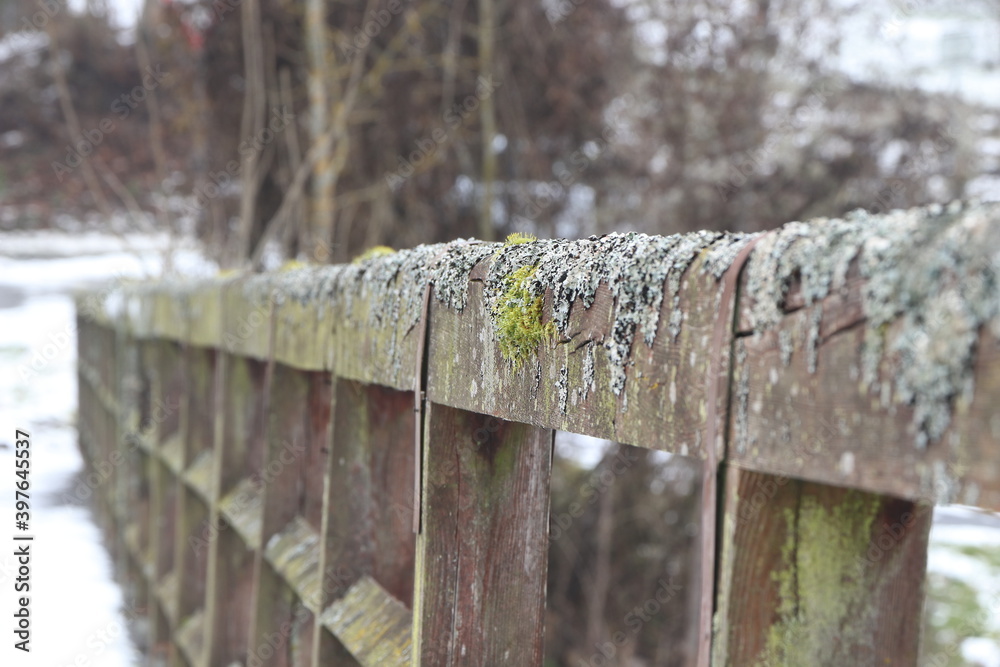 detail von einem geländer einer alten hölzernen brücke teilweise mit moos bewachsen