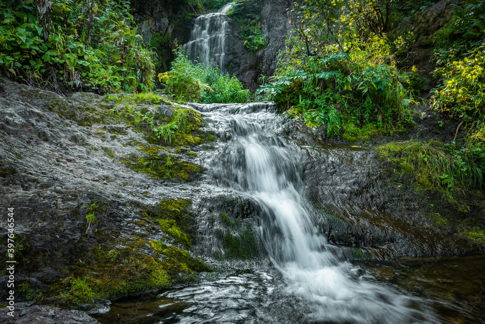 Forest stream in rainforest. Waterfall among mossy rocks and greenery. Mountain river on summer day. Nature landscape with cascades of mountain creek among lush thickets in forest. Forest stream in rainforest. Waterfall among mossy rocks and greenery. Mountain river on summer day. Nature landscape with cascades of mountain creek among lush thickets in forest.