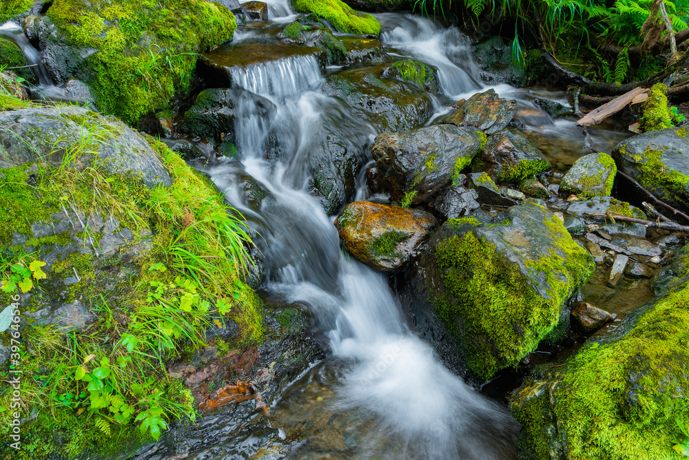 Stormy stream among rocks and boulders in forest valley. Mountain river. Stormy stream among rocks and boulders in forest valley. Mountain river.