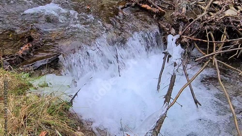 Wasser Fluss Bach Wald