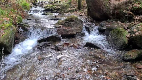 Wasser Fluss Bach Wald
