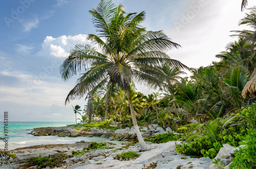 Fototapeta Naklejka Na Ścianę i Meble -  tropical caribean beach with palms - riviera maya, yutan mexico