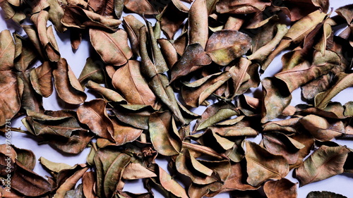 picture of dried kaffir leaves 