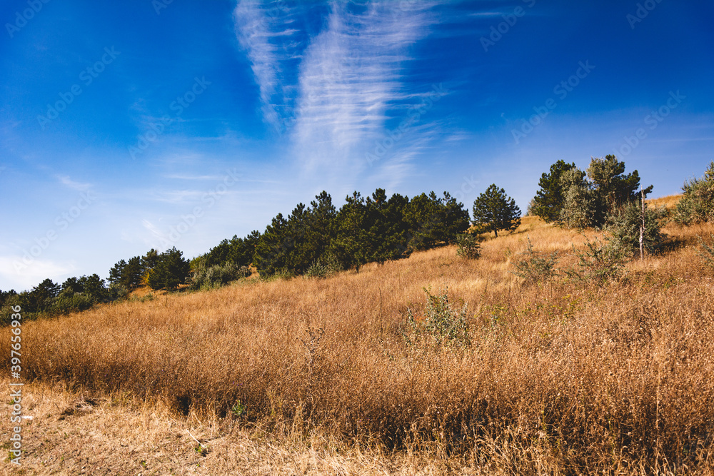 Autumn meadows and blue sky. The nature of Moldova. Landscapes of Moldova. Artistic processing with copy space Autumn meadows and blue sky. The nature of Moldova. Landscapes of Moldova. Artistic processing with copy space