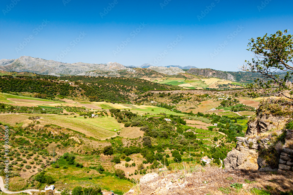 Rural area with olive trees plantations as seen from hills of town of Ronda in Andalusia, Spain