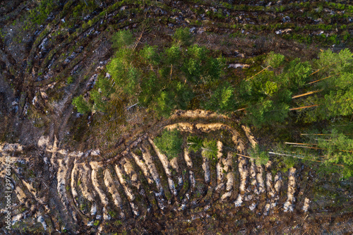 An aerial of clear-cut area after mineralizing the soil to prepare it for new young trees in Estonia, Nortern Europe.	