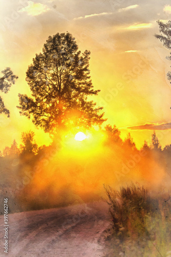 Beautiful sunshine through the trees with fog © idea_studio