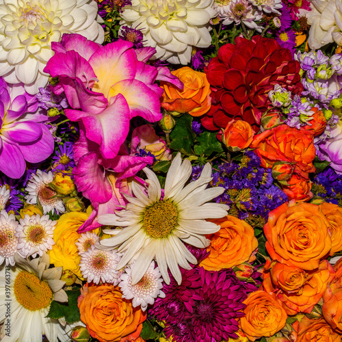 Photo of close-up abstract flower background consist of many flowers